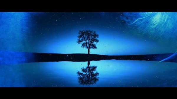 John Field - Nocturne No. 5 in B flat major - John O'Conor