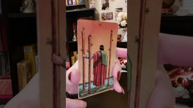 If All Of My Decks Disappeared, which would I Re-Buy?!? VR to@Pappa Squirrel смотреть онлайн