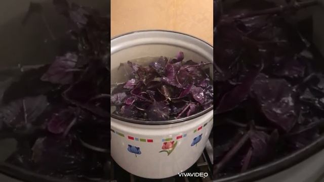 Напиток из базилика🍸 смотреть онлайн