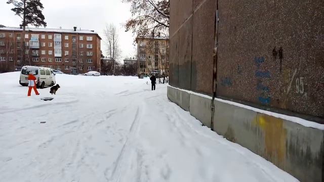 Свиньи в городе!!! Ангарчане выбрасывают мусор около дома!!! смотреть онлайн