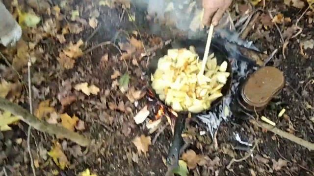 Очень много опят, но рвать некогда, надо работать ? смотреть онлайн