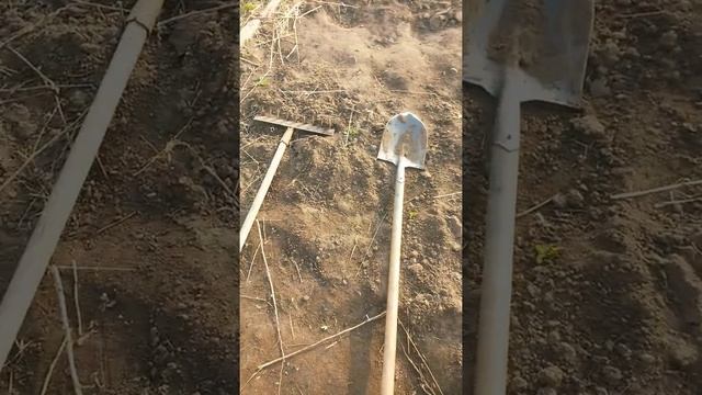 Три инструмента лежат рядом - две лопаты и одни грабли девятнадцатого апреля + смотреть онлайн