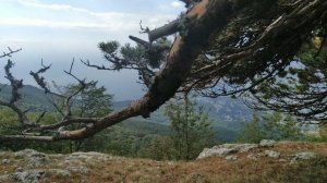 Национальный парк "Крымский"... Кордон "Красный камень"... 07.09.24 г.