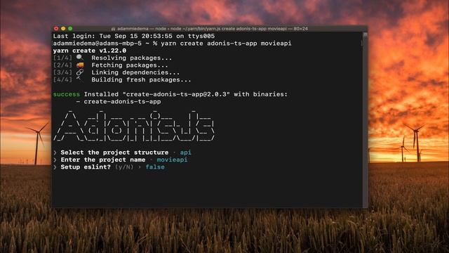 Installing AdonisJS v5 project on your local machine смотреть онлайн