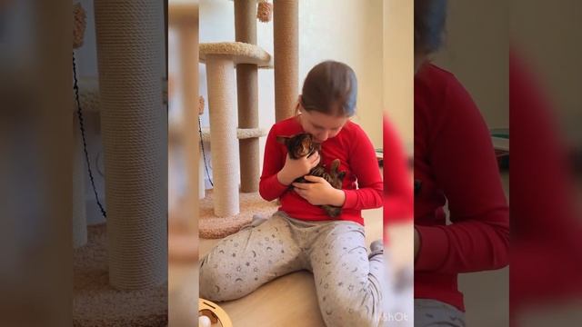 Первый день бенгала в новом доме смотреть онлайн