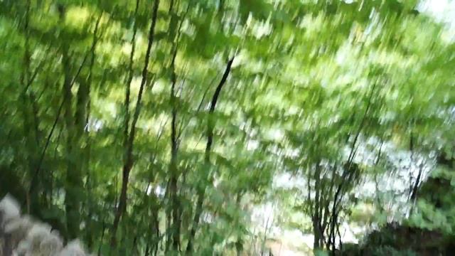 Плитвицкие озёра. СОКРОВИЩЕ ЮНЕСКО.ХОРВАТИЯ. смотреть онлайн