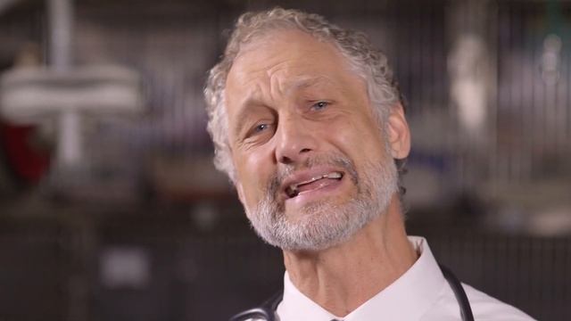 Pet Microchips and Pet Medical Records in one national pet registry and medical records pet portal. смотреть онлайн