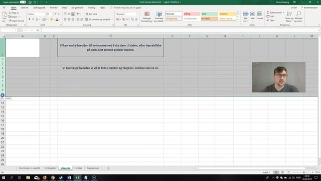 Excel manual 1 Ordregister og utseende смотреть онлайн