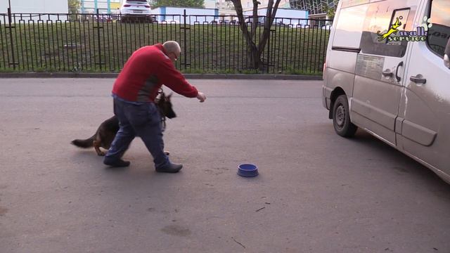 Тригер 60, Команда место, используем миску и корм смотреть онлайн
