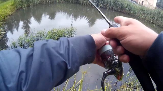 РОТАН на СПИННИНГ летом. МОРМЫШКА и ВЭКИ смотреть онлайн