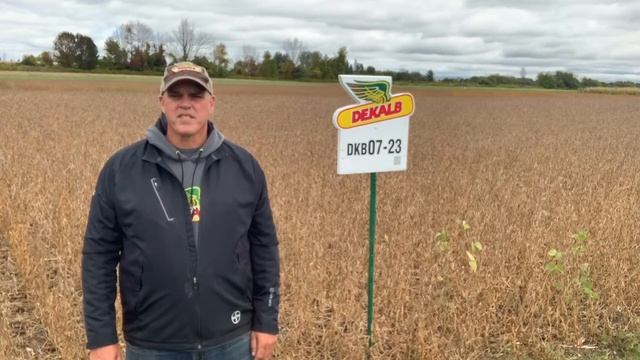 The Front Row: DEKALB® Soybean Variety DKB07-23 смотреть онлайн