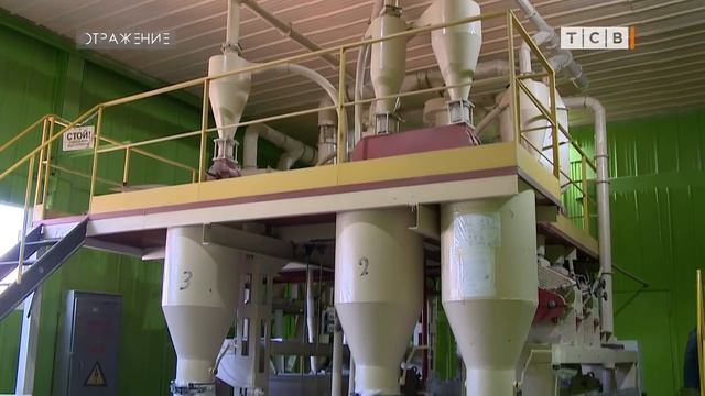 Где растёт наша каша смотреть онлайн