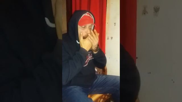 Despacito- la muzicuta (Gelu Romanu) смотреть онлайн