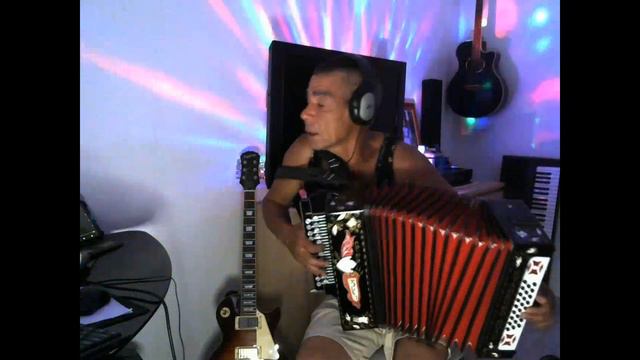 кавер на гармошке Despacito кавер на гармошке смотреть онлайн