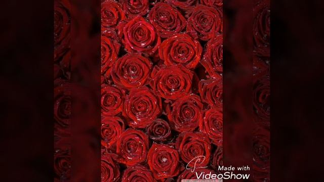 Сергей Пискун Алые розы