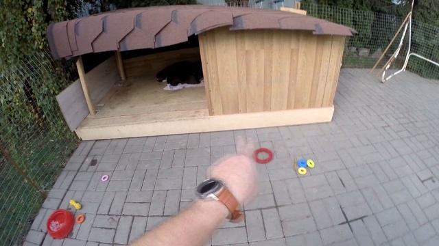 Домик для щенков дратхаара, мини вольер для малышков. смотреть онлайн