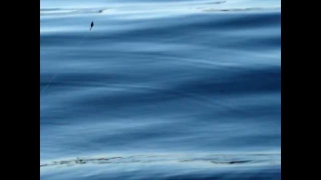 щука на кукурузу Рыбалка, Fishing ,кемпинг, camping, отдых, спиннинг, джиг, поплавок, удочка, Вобле смотреть онлайн