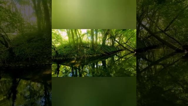 Душевное равновесие, природа. отдых, свобода мысли. смотреть онлайн