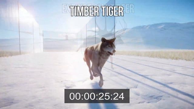 Northen Animals Speed Races in Planet Zoo includes Siberian Tiger, Giant Deer, Snow Leopard etc. смотреть онлайн