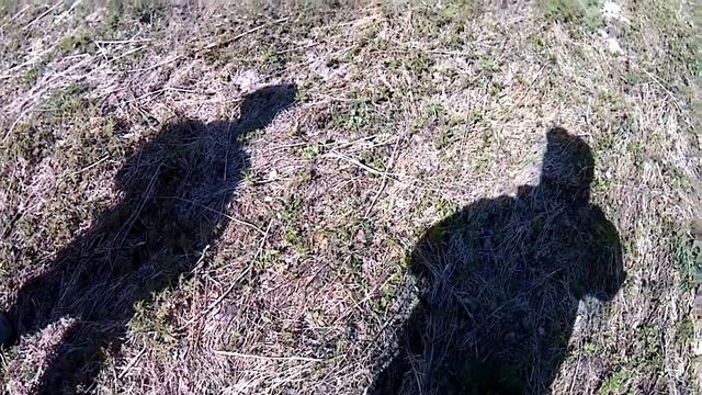 Коп с камрадом Лёхой. смотреть онлайн