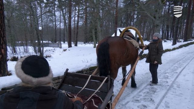 В праздничные дни таллиннцев ждут интересные события смотреть онлайн