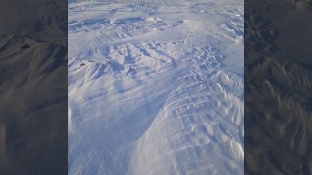 Охота на Зайца. 21.01.2021. смотреть онлайн