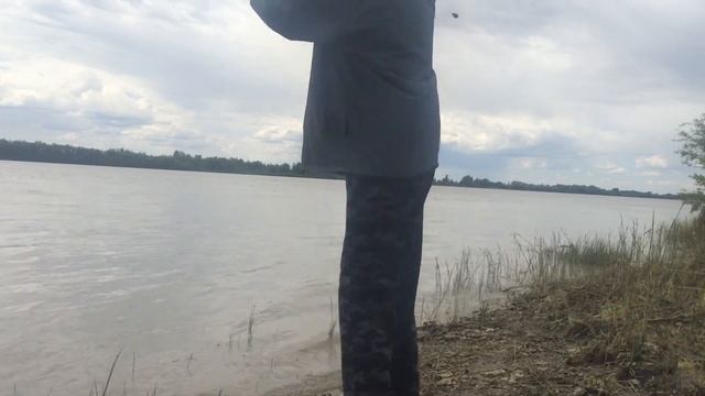 Рыбалка!Бешенный клёв Плотвы!Рыбалка на Поплавок и Спиннинг!! смотреть онлайн