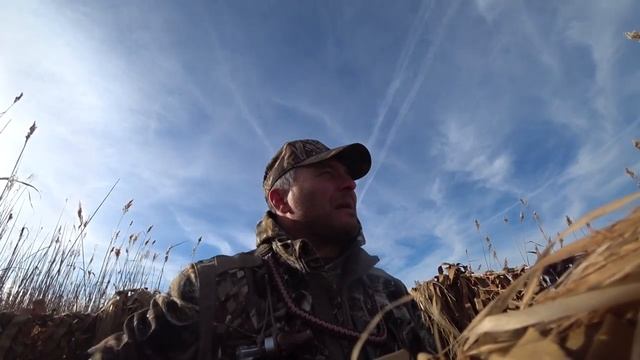 Охота на утку с духовыми манками в Декабре. смотреть онлайн