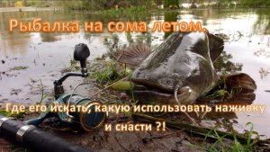 Рыбалка на сома летом. Где его искать, какую использовать наживку и снасти ?!