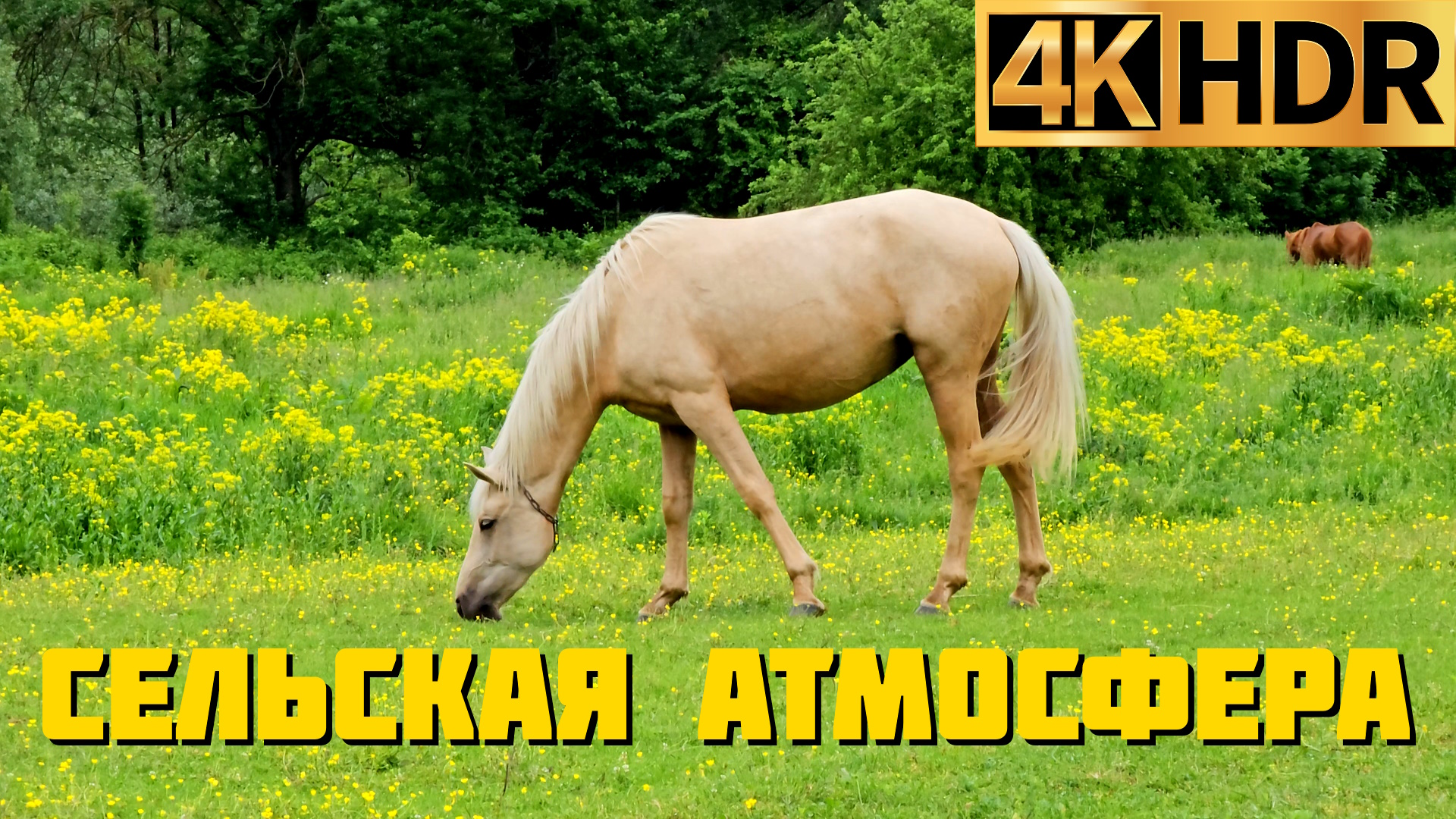 Атмосфера сельской местности | Вдали от городской суеты смотреть онлайн