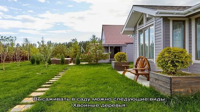 Деревья для сада: выбираем красивую композицию (24 фото) смотреть онлайн