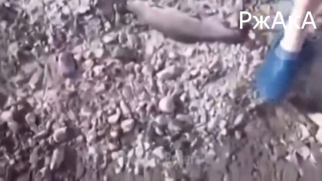 мужик словил рыбу на "червячка" смотреть онлайн