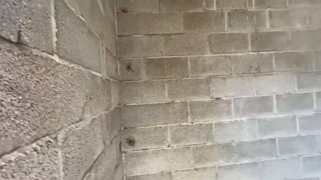 Коттеджи «Стороны света» — это уединение внутри городской инфраструктуры. смотреть онлайн