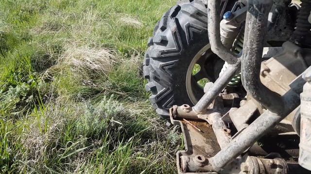 Обзор моего Динлизавра смотреть онлайн