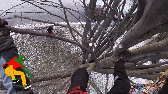 -25 C TRIM PART 1 смотреть онлайн