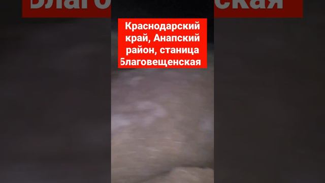 На пляже Черного моря ловушки воронки для ночных романтичных прогулок вдоль береговой линии 2022 смотреть онлайн