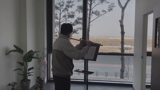 Chopin Nocturne Op. 9 No. 2 (flute ver.) смотреть онлайн