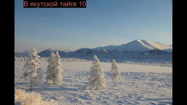 В якутской тайге 10 смотреть онлайн