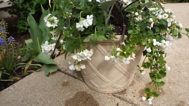 4th of July Container Arrangement / Mother's Day Gift Idea смотреть онлайн