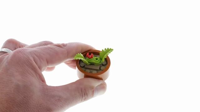 LEGO Icons 10329 Tiny Plants - LEGO Speed Build Review смотреть онлайн