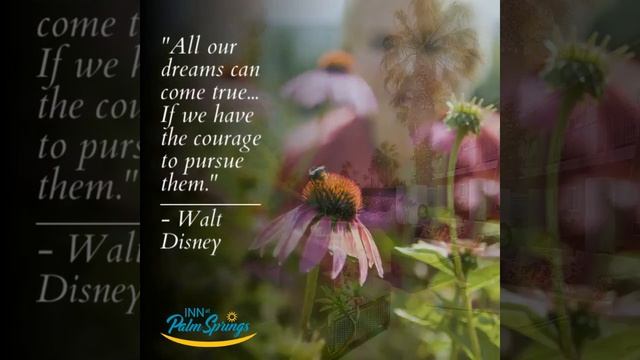 "All our dreams can come true... If we have the courage to pursue them." смотреть онлайн