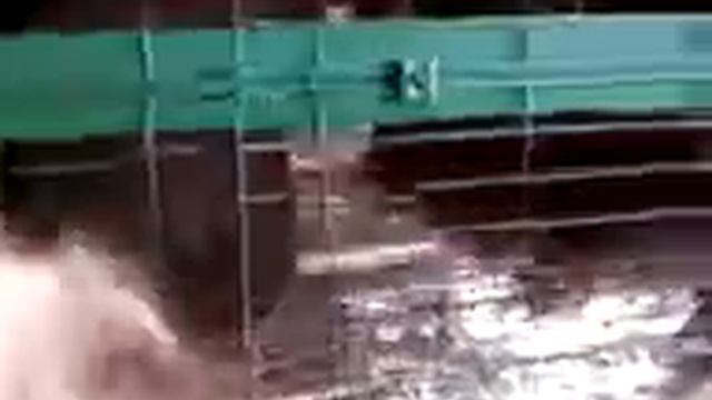 Зубр в зоопарке смотреть онлайн