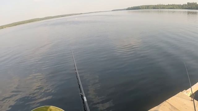 Рыбалка на Десногорском водохранилище. Фидер и поплавок. смотреть онлайн