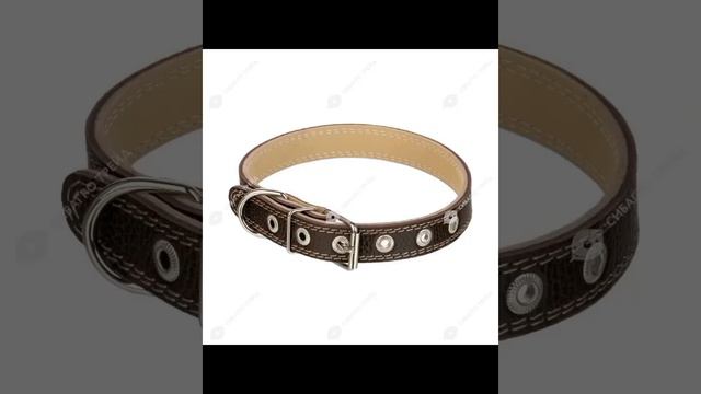 Ошейник VS шлейка смотреть онлайн