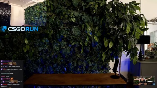 ШОУ КАЖЕТСЯ НАЩУПАЛ СО СТРИМЕРАМИ / ШАДОУКЕК, СТРОГО, ГАЕЧКА, БАЙ ОВЛ, ДЕСАУТ, СТАС / SHADOWKEK