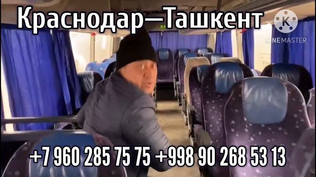 Краснодар Ташкент автобус, Ташкент Краснодар автобус, Ростов Ташкент автобус#ташкент#краснодар смотреть онлайн