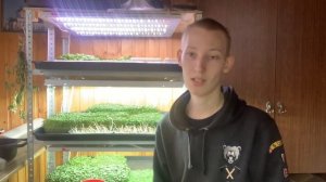 Сколько можно заработать на микрозелени! Расчёт себестоимости микрозелени!бизнес на микрозелени!