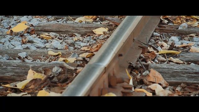 Panasonic gh4 with Rokinon 85mm T1 5 смотреть онлайн