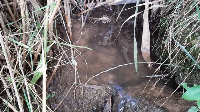 #White Noise 36 #relaxing #deepsleep #Tinnitus #Tinnitus Masking #Шум в ушах #шум в голове  снижаем