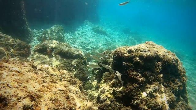 Настоящая Хорватия: солнечная Брела, ч.2 смотреть онлайн